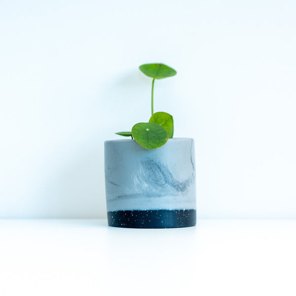 Windbreaker Medium Resin Pot