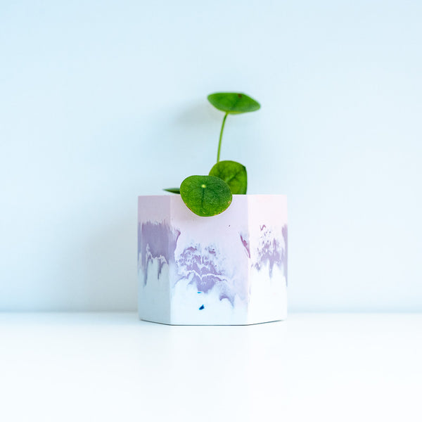 Salt Pan Pink Hexagon Resin Pot