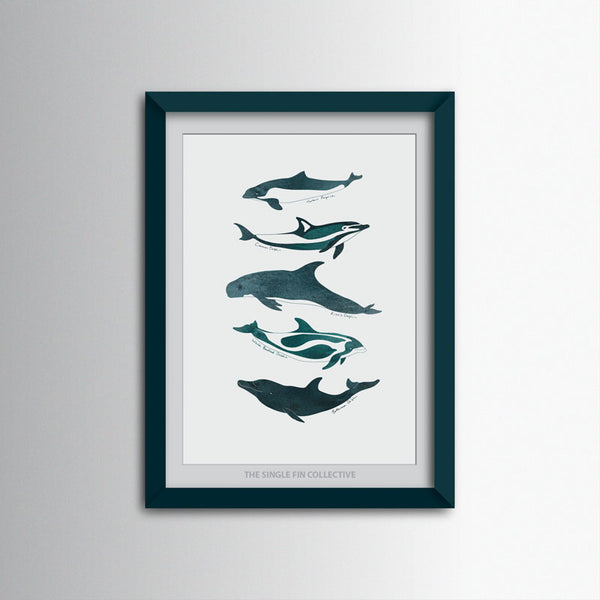 Dolphins and Porpoises Art Print