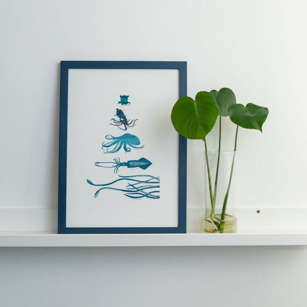 Framed Octopus Species Art Print (Click & Collect)