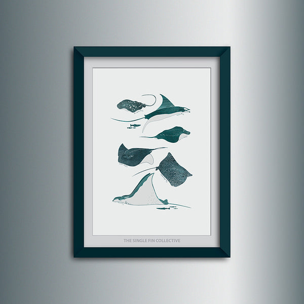 Super Seconds - Ray Species Art Print