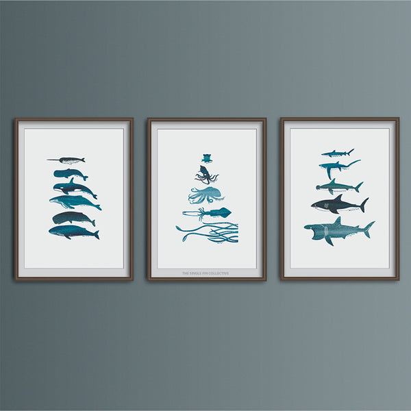 Whale Species Art Print