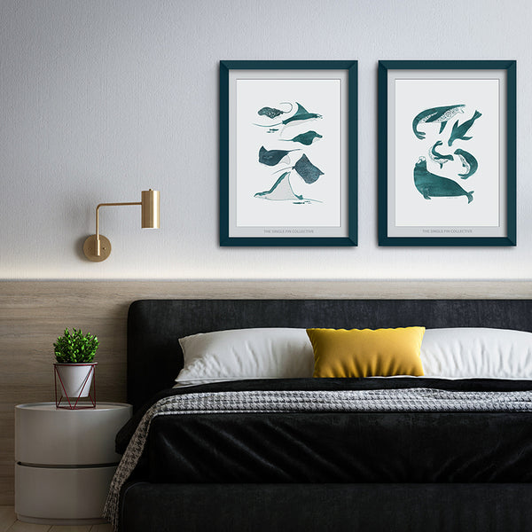 Seal Species Art Print