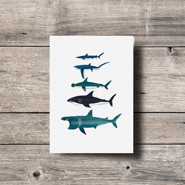 Shark greeting card