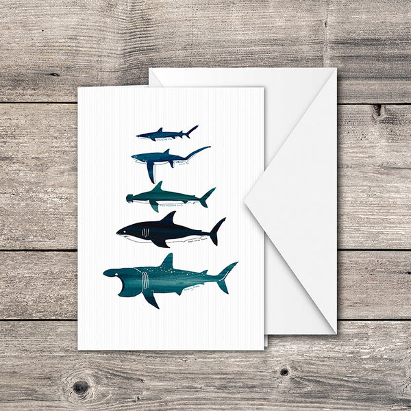 Shark greeting card
