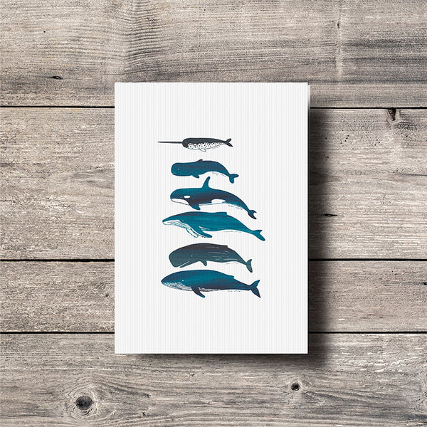 Whale Greeting Card