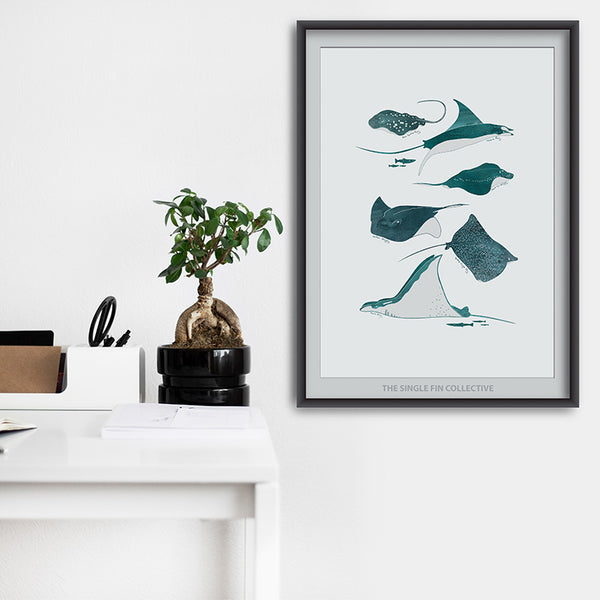 Ray Species Art Print