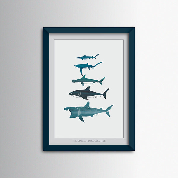 Super Seconds - Shark Species Art Print