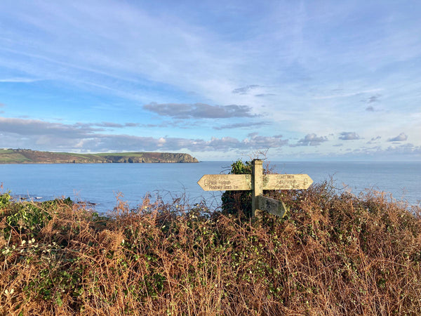 South West Coast Path - Portscatho to Carne