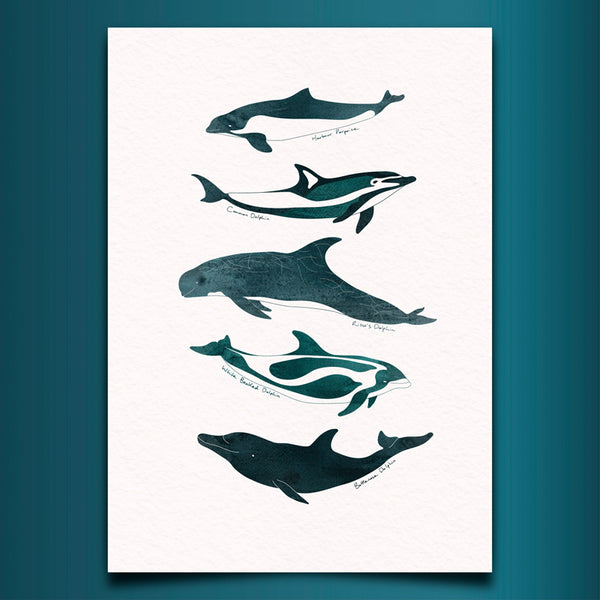 Dolphins and Porpoises Art Print