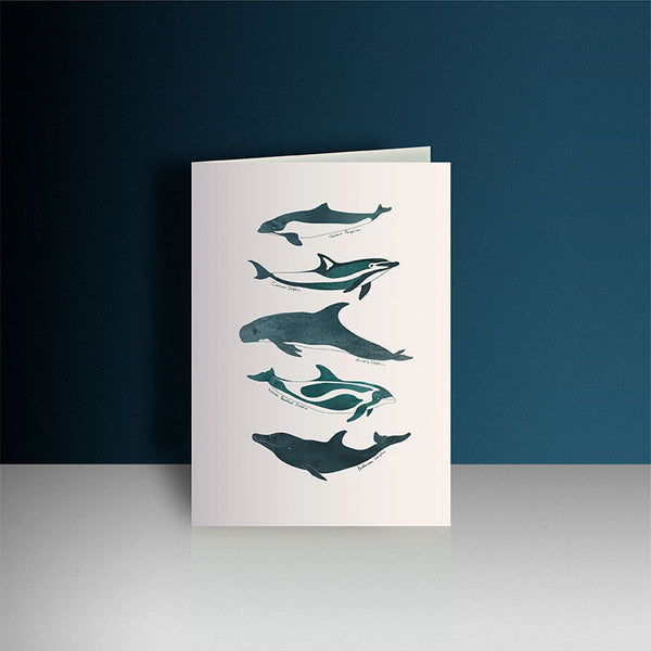 Dolphins and Porpoises Greeting Card