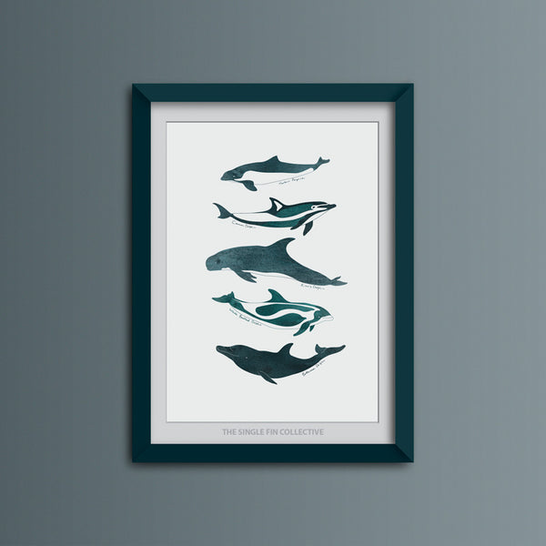 Dolphins and Porpoises Art Print