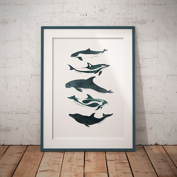 Dolphins and Porpoises Art Print