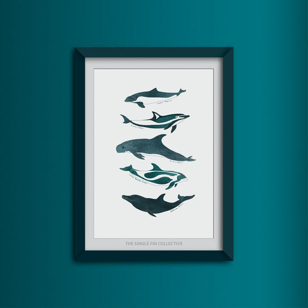 Dolphins and Porpoises Art Print