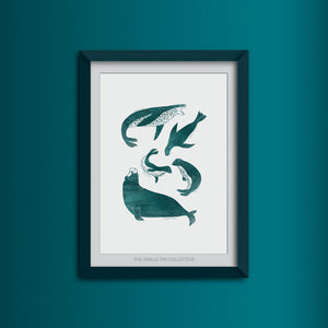 Seal Species Art Print