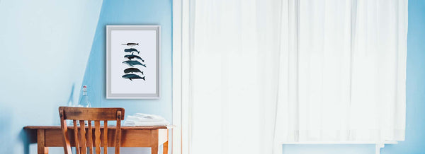 framed whale print on wall