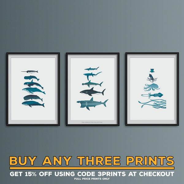 Harlyn Lines 2 Art Print