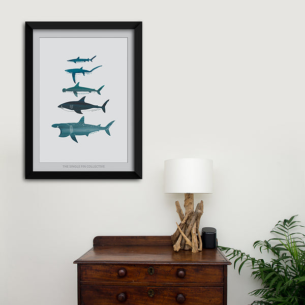 Shark Species Art Print