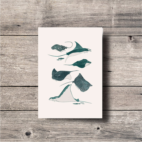 Ray Greeting Card