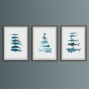 Whale Species Art Print