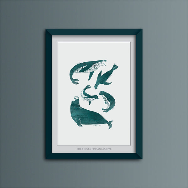 Seal Species Art Print