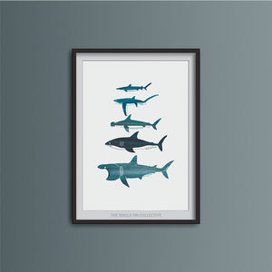 Shark Species Art Print