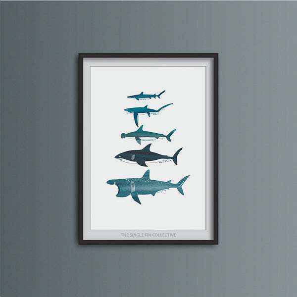 Shark Species Art Print