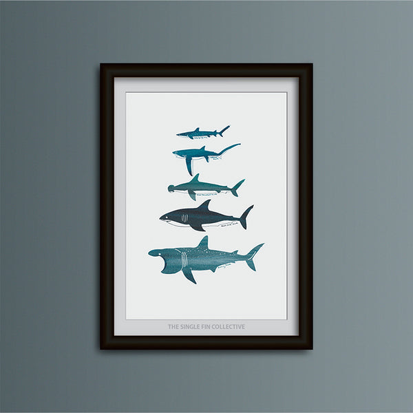 Shark Species Art Print