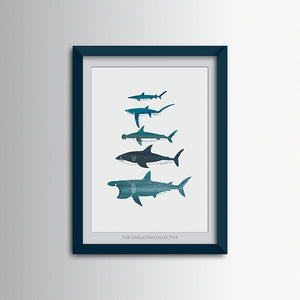 Shark Species Art Print