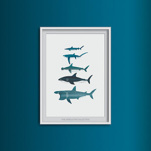 Shark Species Art Print