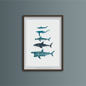 Shark Species Art Print