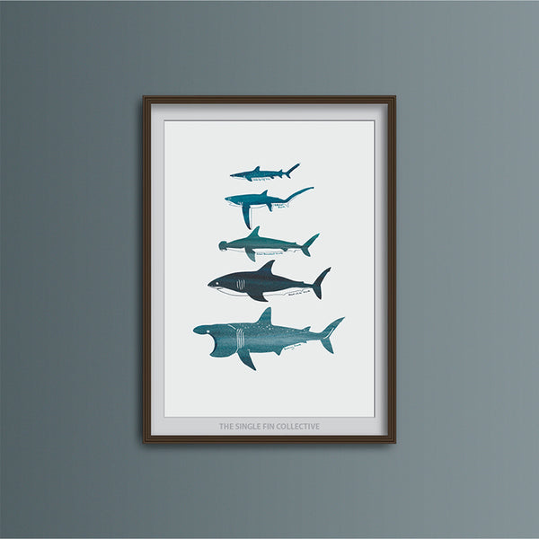 Shark Species Art Print