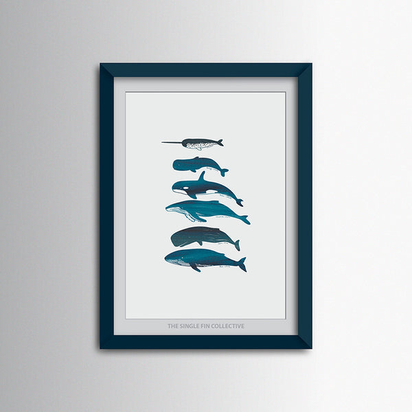 Super Seconds - Whale Species Art Print