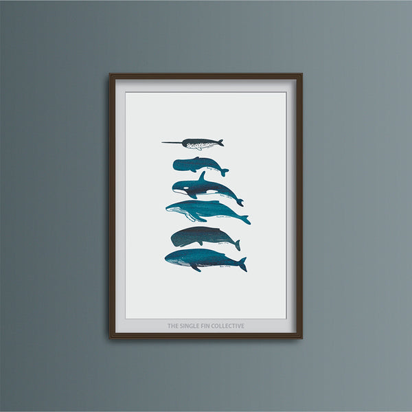 Whale Species Art Print
